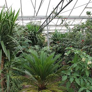 View in one of the Halls