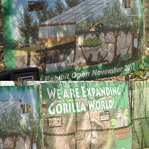 Mar. 2017 - Gorilla World - New Signage - Opening Dates After Renovations
