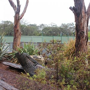 Lace Monitor enclosure