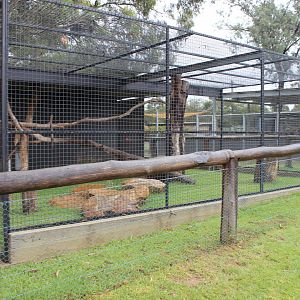 Serval enclosure