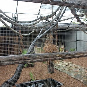 Crab-Eating Macaque enclosure