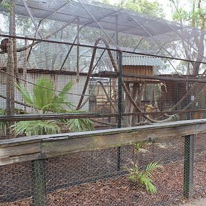 Spider Monkey and Capybara enclosure
