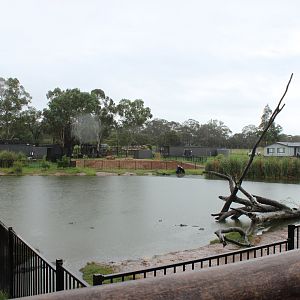 Alligator enclosure