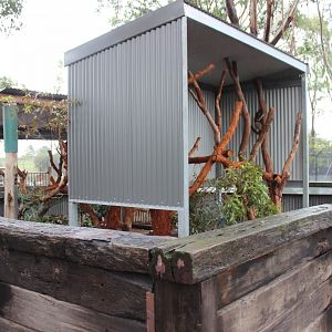 2nd Koala enclosure