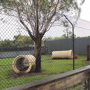 1st Maned Wolf enclosure