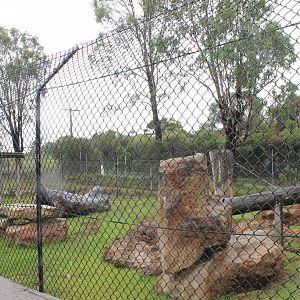 3rd Maned Wolf enclosure