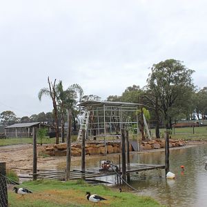 Lemur enclosure in the making