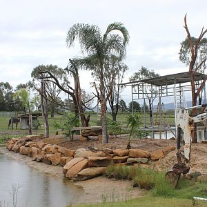 Lemur enclosure in the making