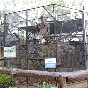 Squirrel Monkey and Agouti enclosure