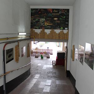 Gang-way toward entrance