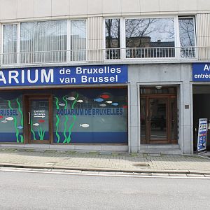 Aquarium Brussel