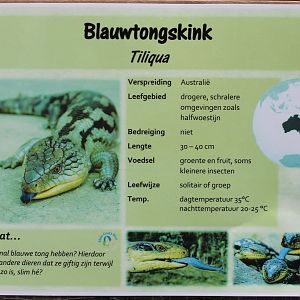 Sign Blue-tonged skink