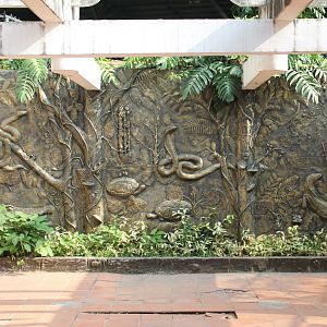 wall in the Reptile House