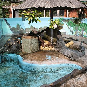 enclosure for Small-clawed Otters at the Reptile House