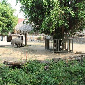 enclosure for White Rhinos