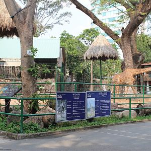 enclosure for giraffe, zebra and ostrich