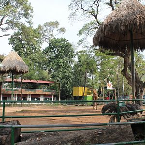 enclosure for giraffe, zebra and ostrich