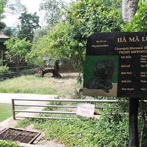 enclosure for Pigmy Hippo