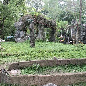 enclosure for Asiatic Black Bears