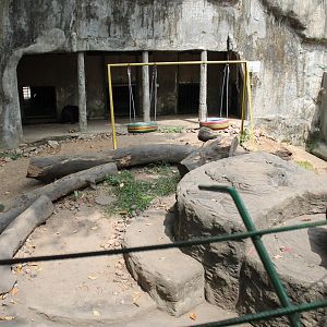 enclosure for Sun Bears