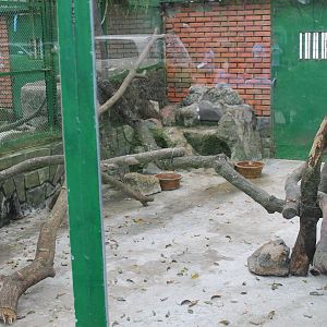 cage for Owston's Palm Civets