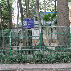 enclosure for Spotted Hyaenas