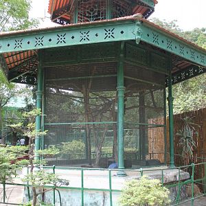 cage for Burmese Ferret-badger (Melogale personata)