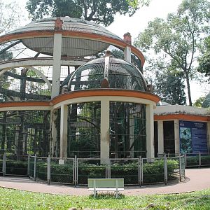 cage for Annamese Silvered Langurs