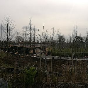 Islands construction