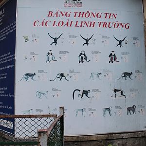 Primates of Vietnam signage