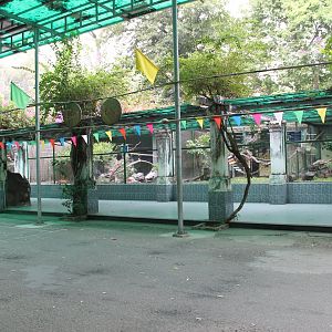 primate cages (and some birds to the right side)