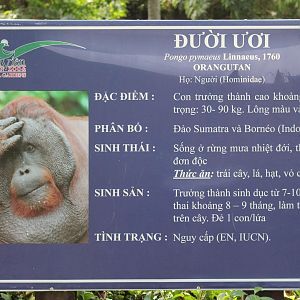 orangutan signage