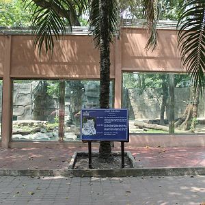 enclosure for white tiger
