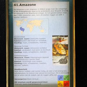 Sign Amazonas-aquarium