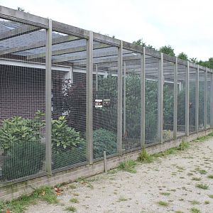 Pheasant-aviaries