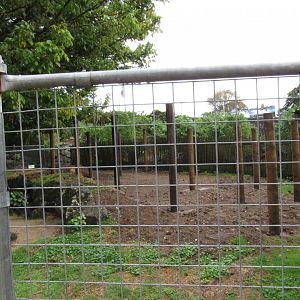 Aussie Walkabout - Construction?