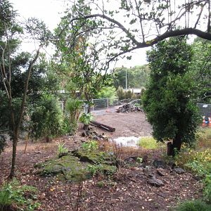 Brolga Exhibit Construction