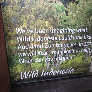 Wild Indonesia Concept Art