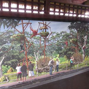 Wild Indonesia Concept Art