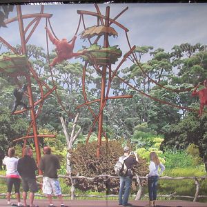 Wild Indonesia Concept Art