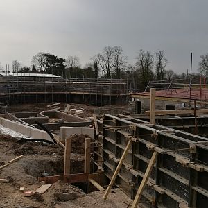 Islands phase 3 tap/bear