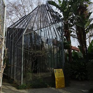 Red-tailed amazon aviary