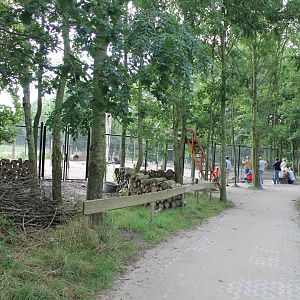 Brown bear enclosure