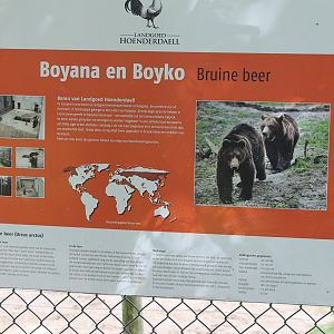 Info history 2 Brown bears