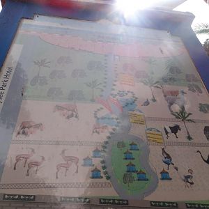 La Vallée des Oiseaux - 25/07/2016