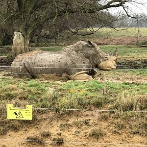 Woburn Safari Park 12/3/17