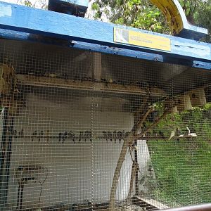 La Vallée des Oiseaux - 25/07/2016