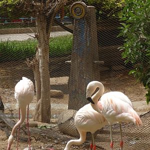 La Vallée des Oiseaux - 25/07/2016