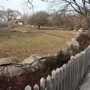 Detroit Zoo - Grevy’s Zebra enclosure