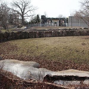 Detroit Zoo - Grevy’s Zebra enclosure